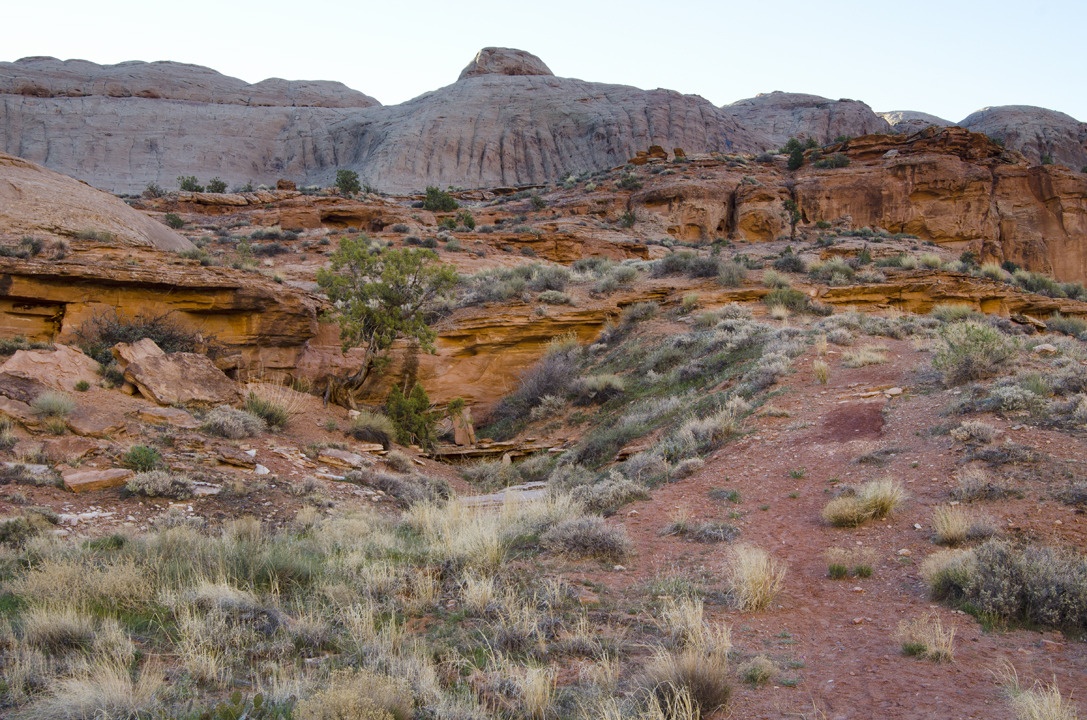 cyc_utahfruita023.jpg