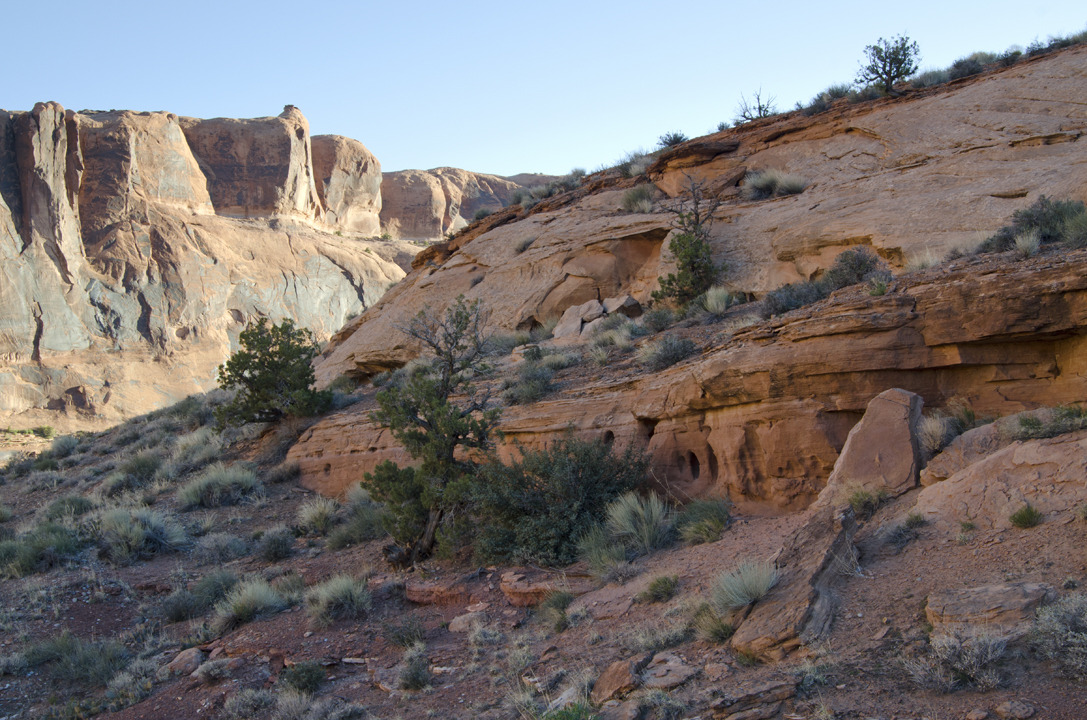 cyc_utahfruita024.jpg