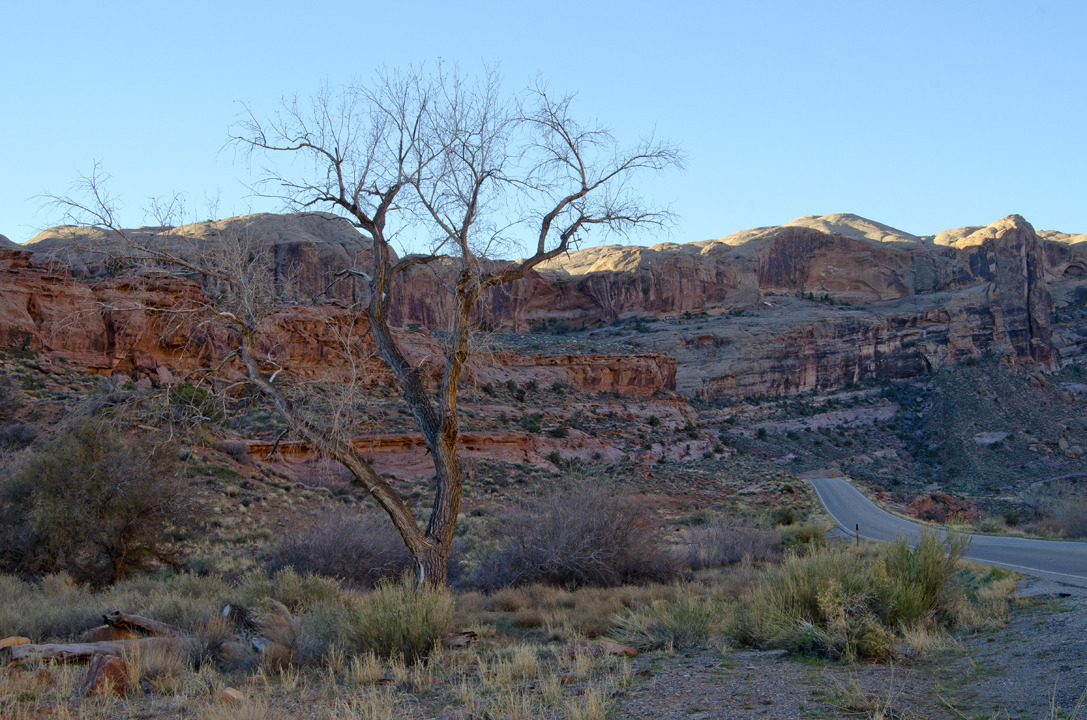 cyc_utahfruita021.jpg