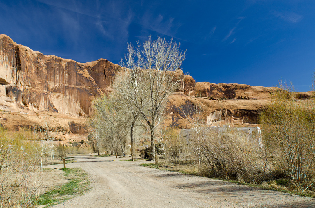 cyc_utahfruita015.jpg