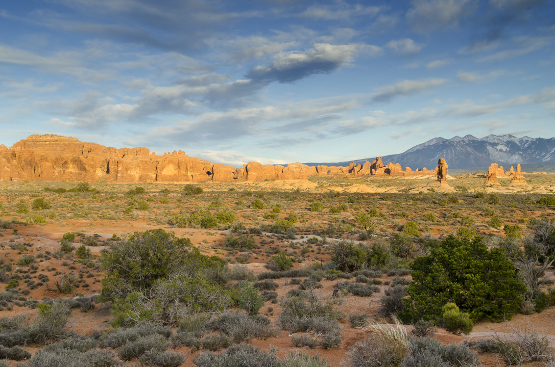 cyc_utahfruita040.jpg