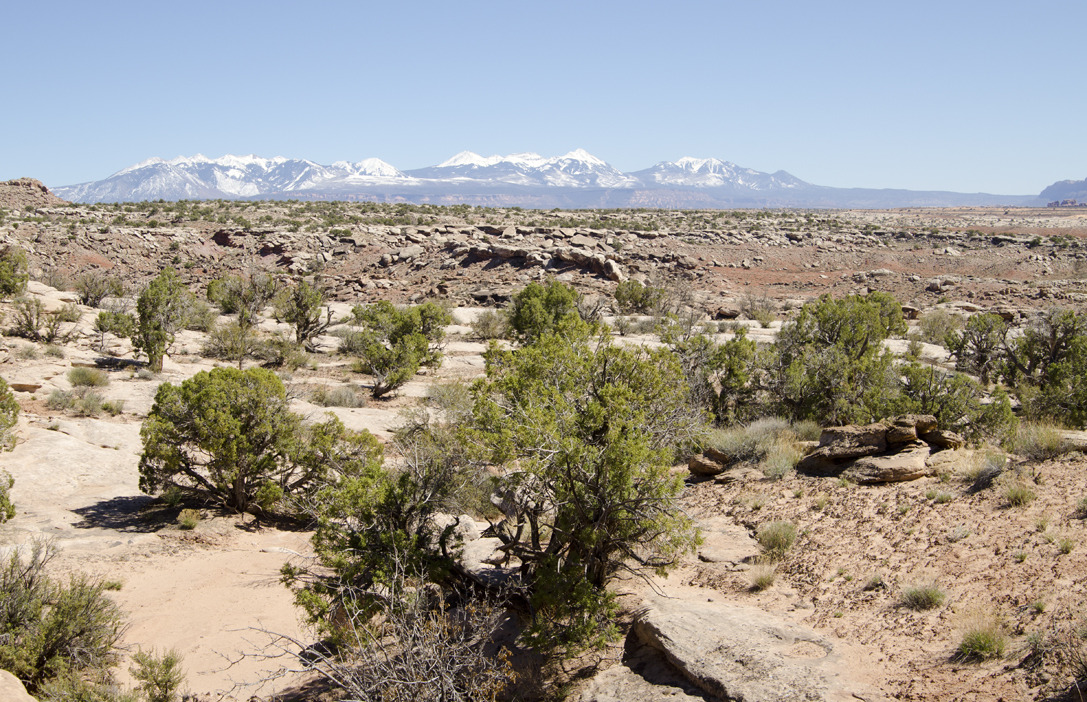 cyc_utahfruita038.jpg