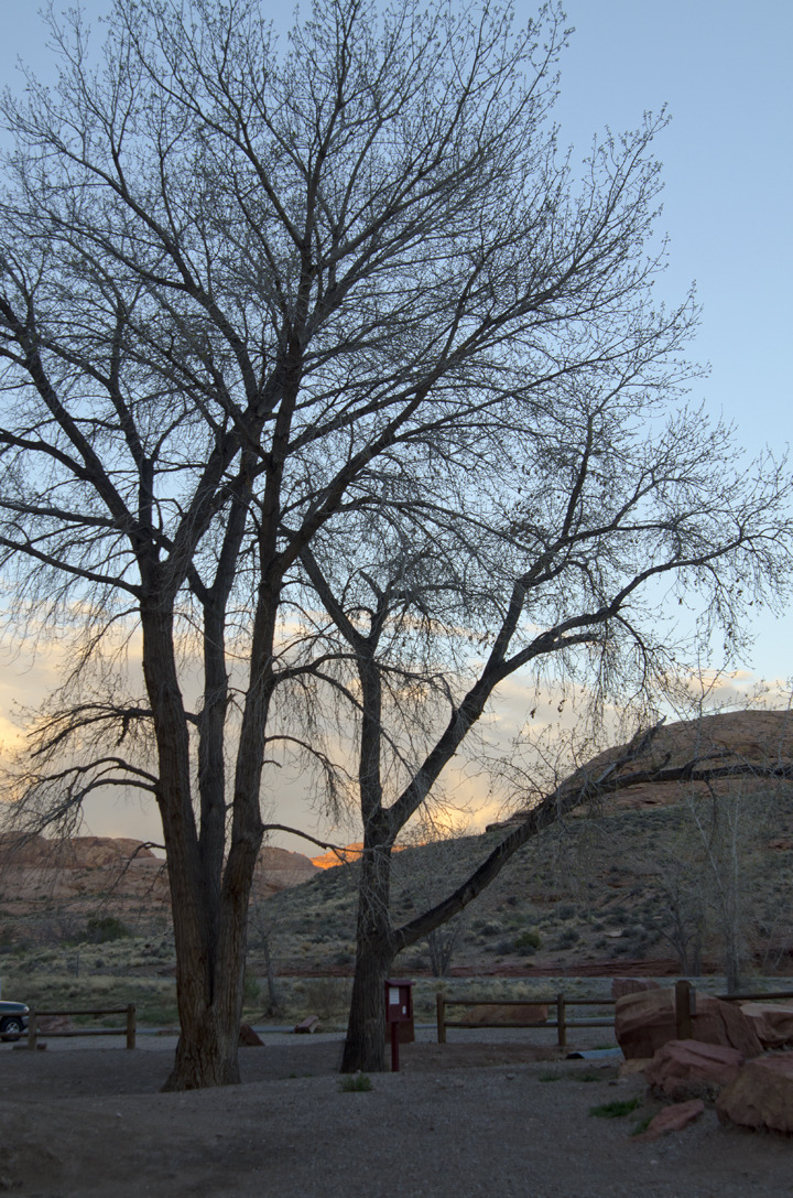 cyc_utahfruita029.jpg