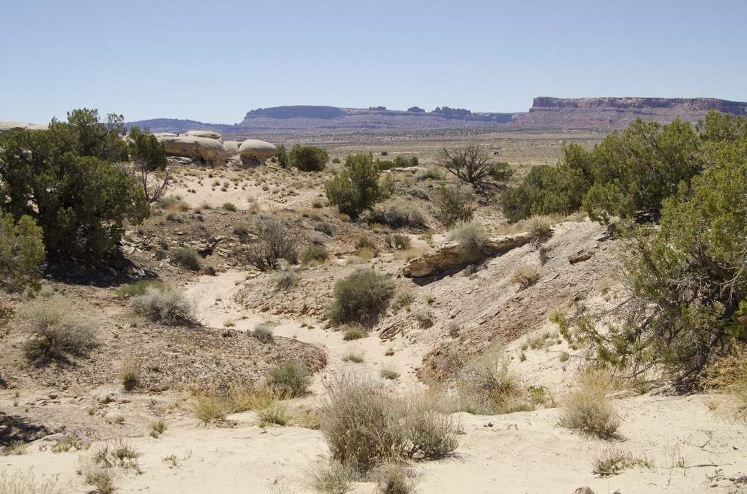 cyc_utahfruita030.jpg