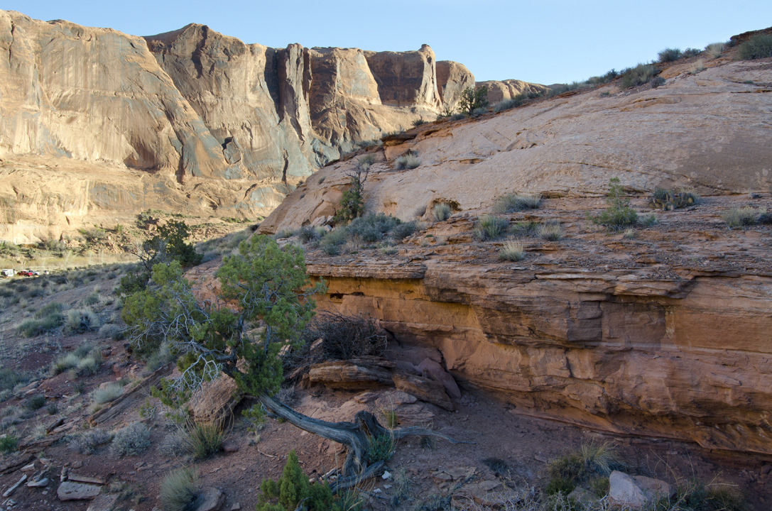 cyc_utahfruita025.jpg