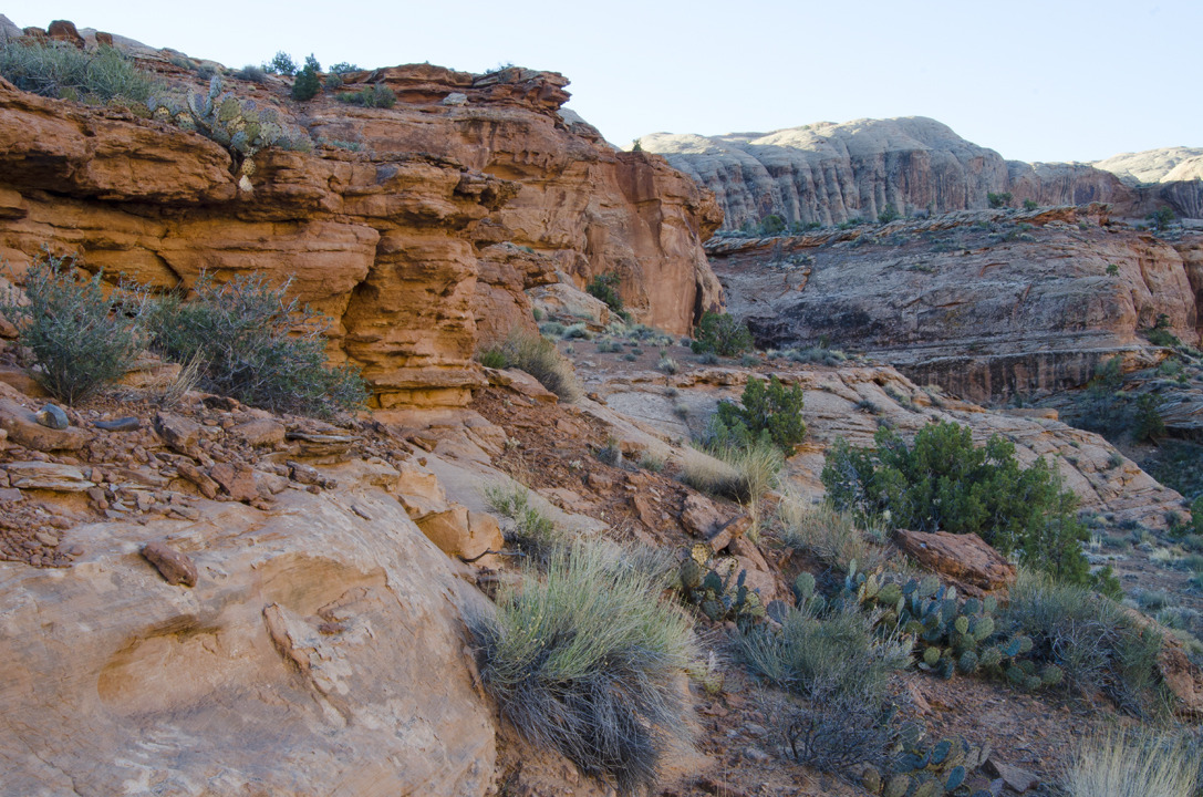 cyc_utahfruita027.jpg