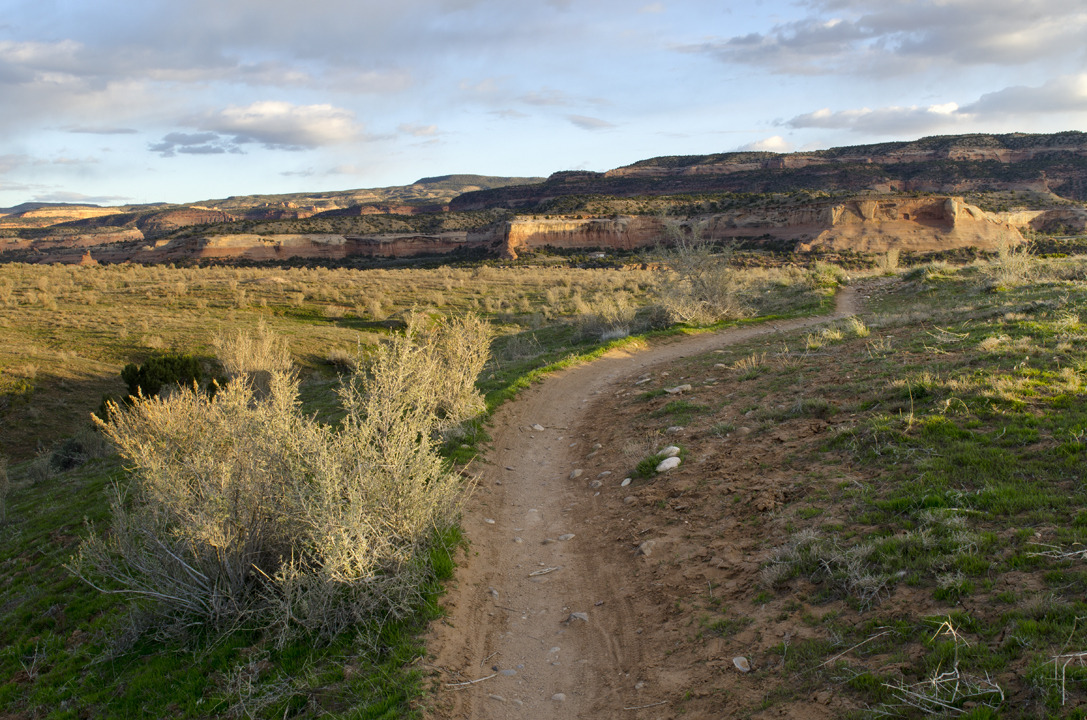 cyc_utahfruita118.jpg