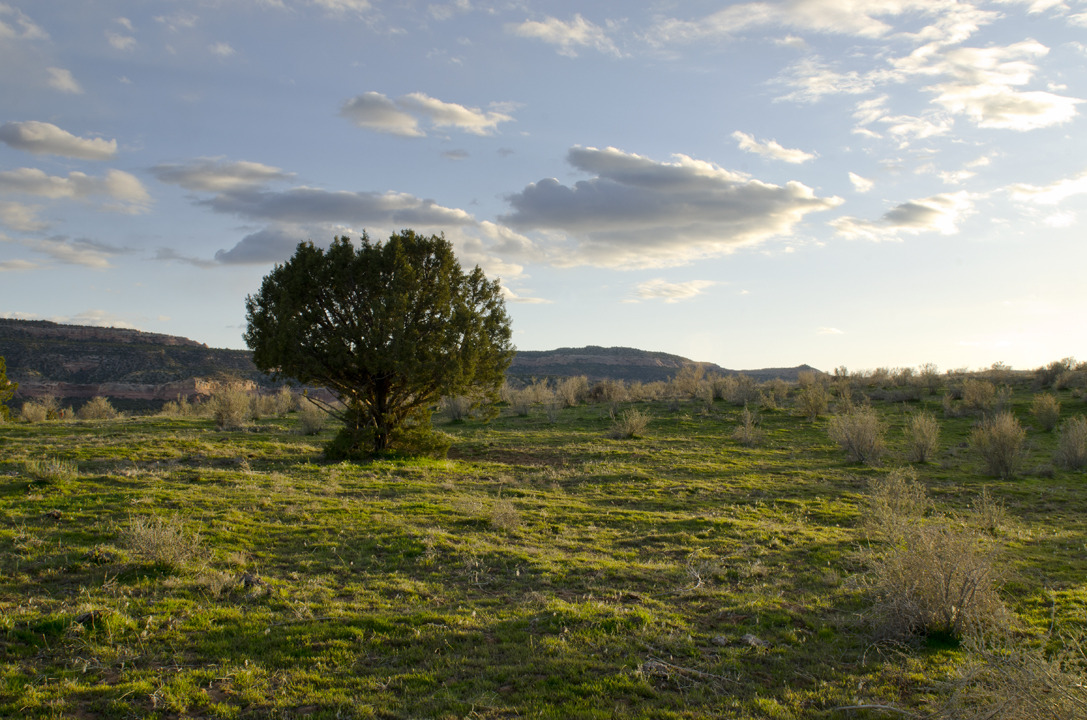 cyc_utahfruita119.jpg
