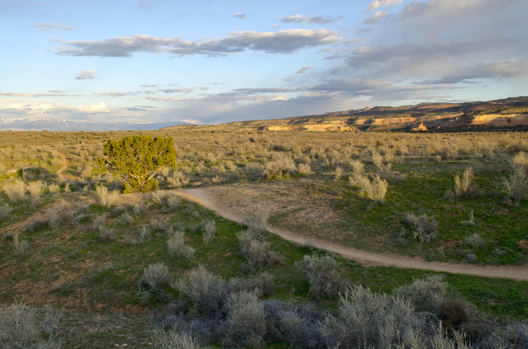 cyc_utahfruita121.jpg