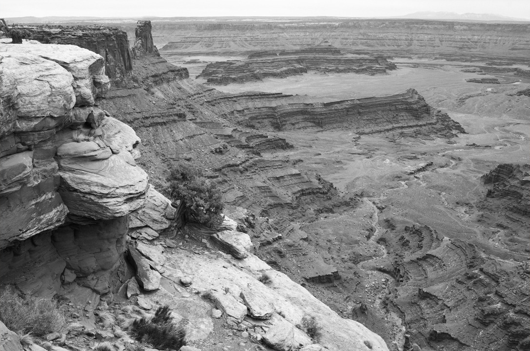 cyc_utahfruita065.jpg
