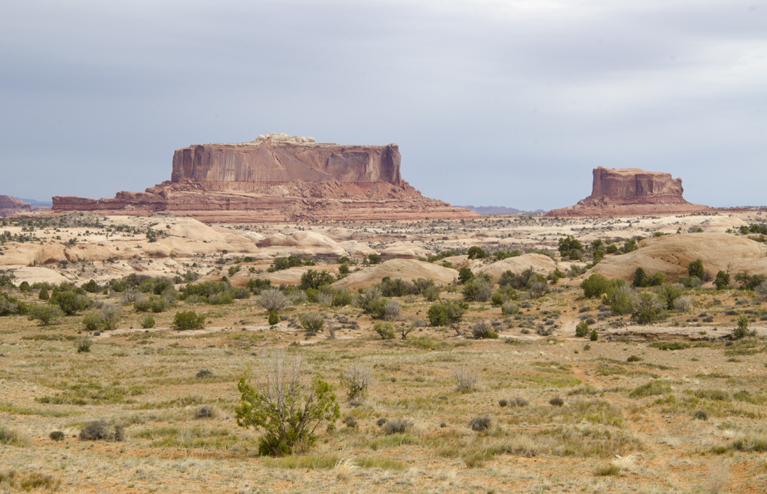cyc_utahfruita062.jpg