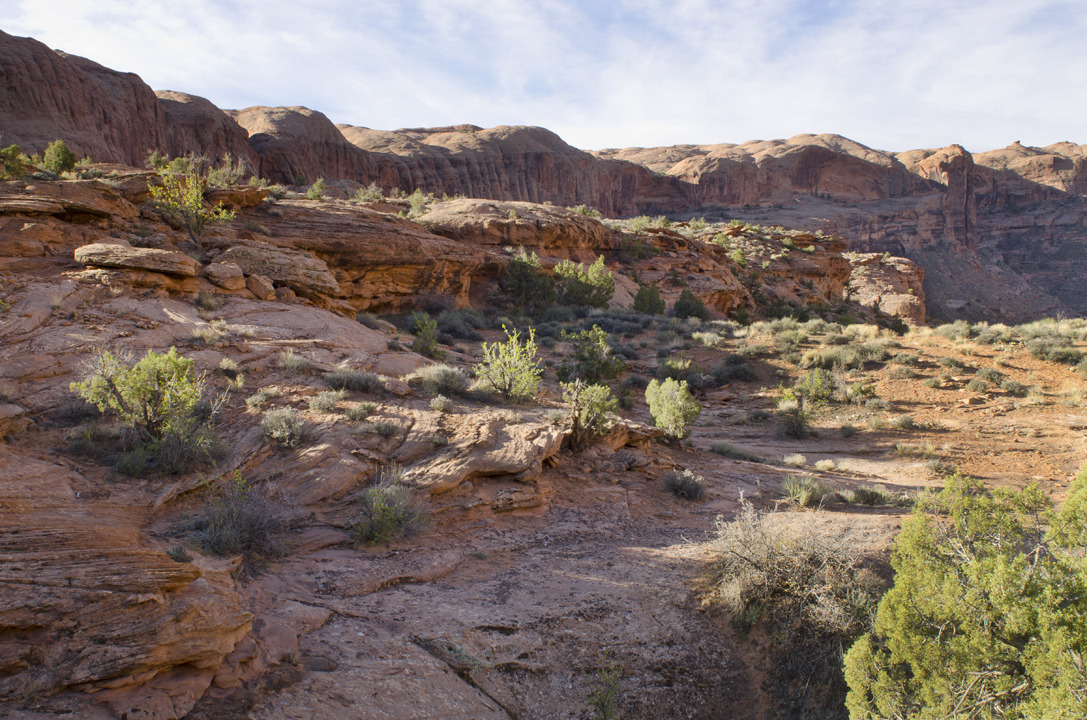 cyc_utahfruita060.jpg