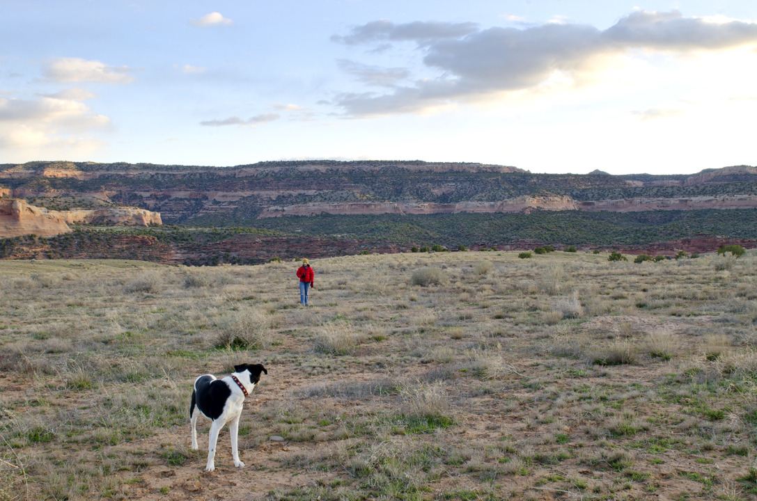 cyc_utahfruita123.jpg