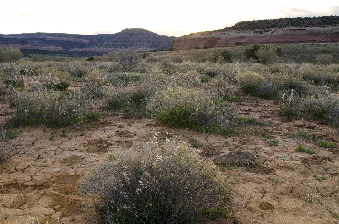 cyc_utahfruita126.jpg