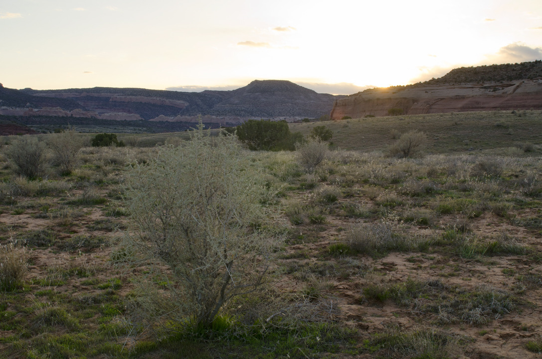 cyc_utahfruita125.jpg