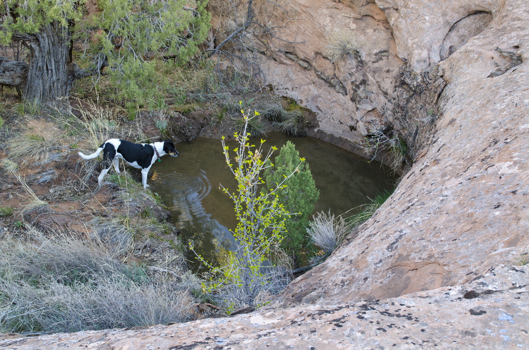 cyc_utahfruita056.jpg