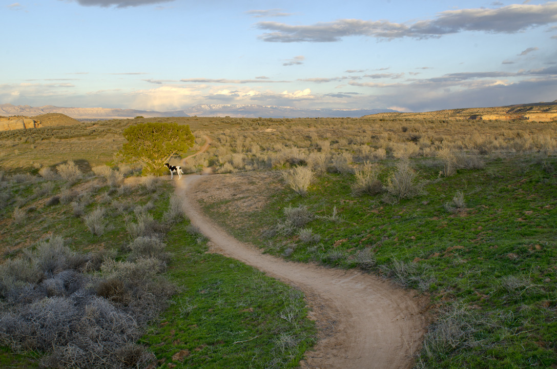 cyc_utahfruita122.jpg