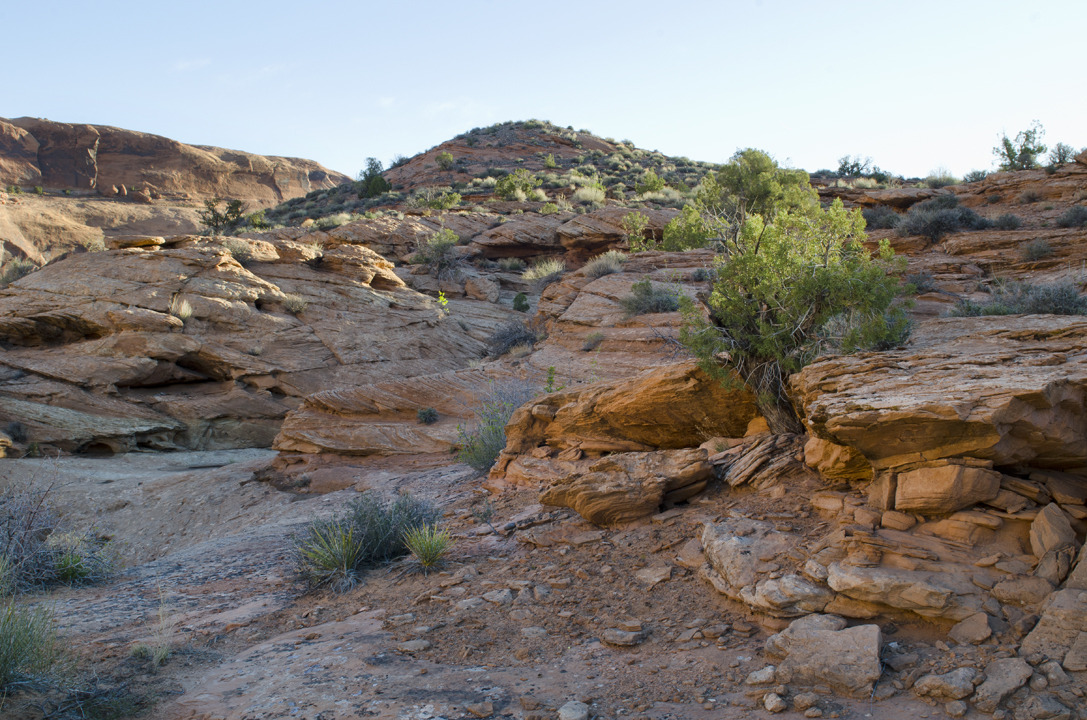cyc_utahfruita055.jpg
