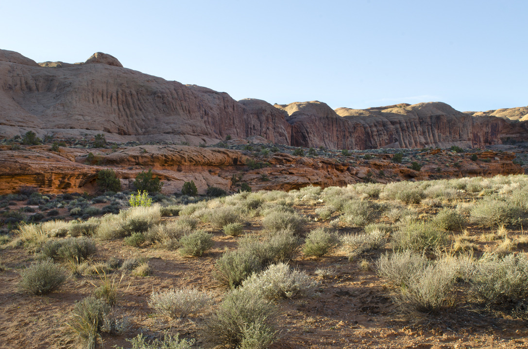 cyc_utahfruita053.jpg