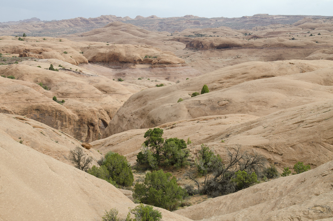 cyc_utahfruita097.jpg