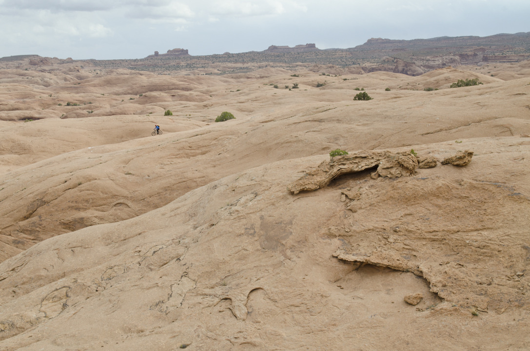 cyc_utahfruita100.jpg