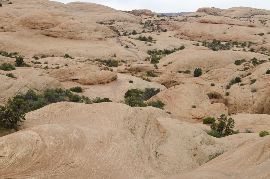 cyc_utahfruita102.jpg