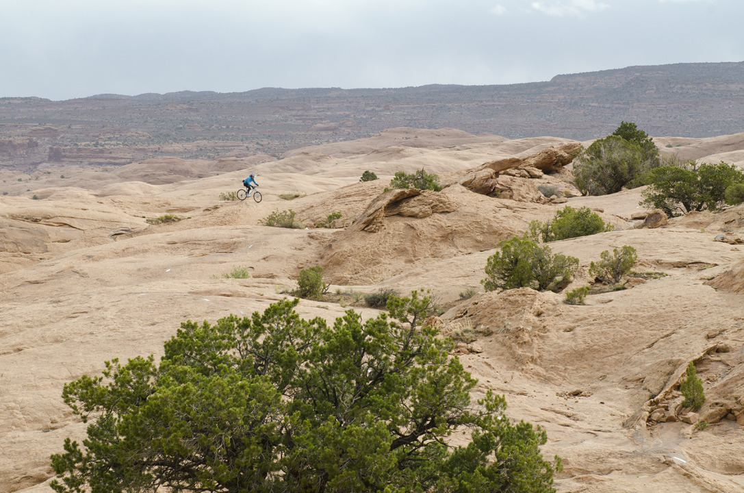 cyc_utahfruita096.jpg