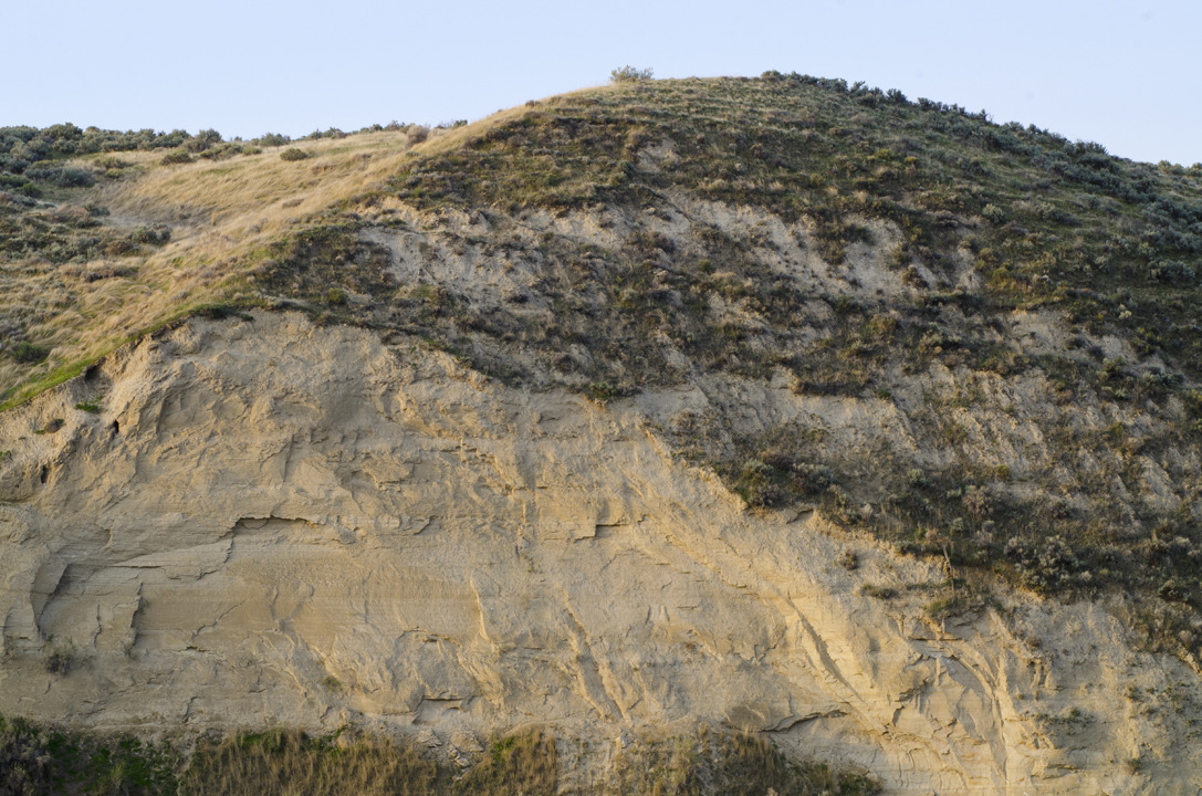 cyc_utahfruita248.jpg