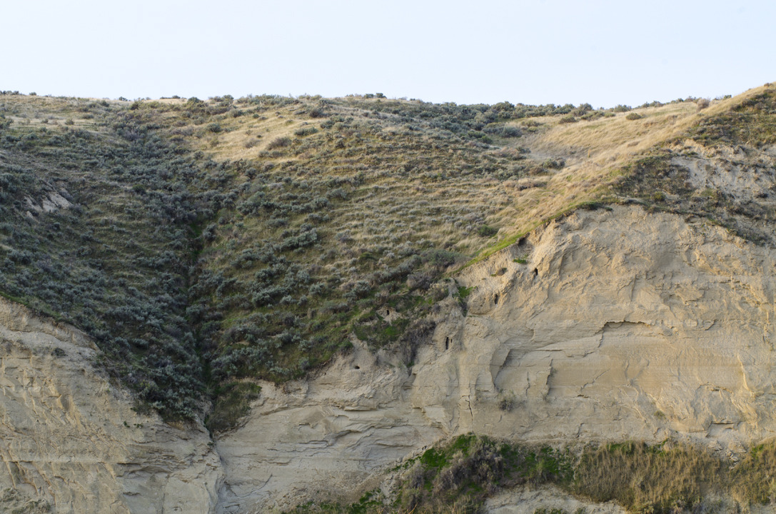 cyc_utahfruita249.jpg