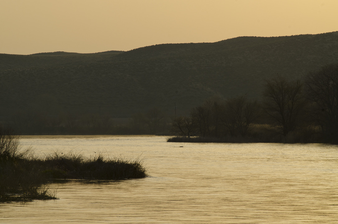 cyc_utahfruita250.jpg