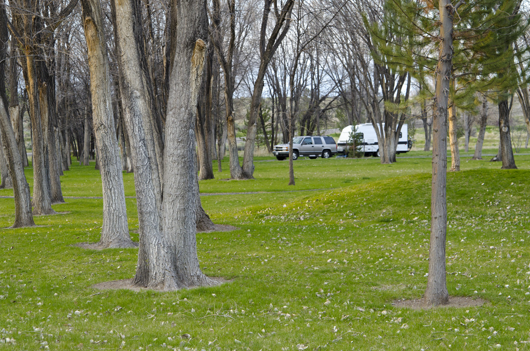 cyc_utahfruita245.jpg