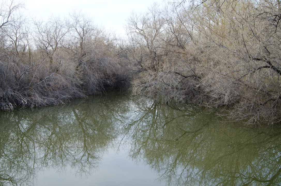cyc_utahfruita243.jpg
