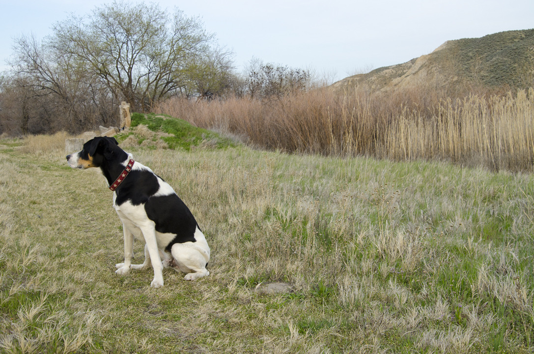 cyc_utahfruita242.jpg