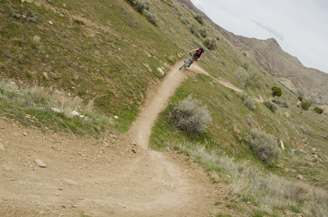 cyc_utahfruita232.jpg