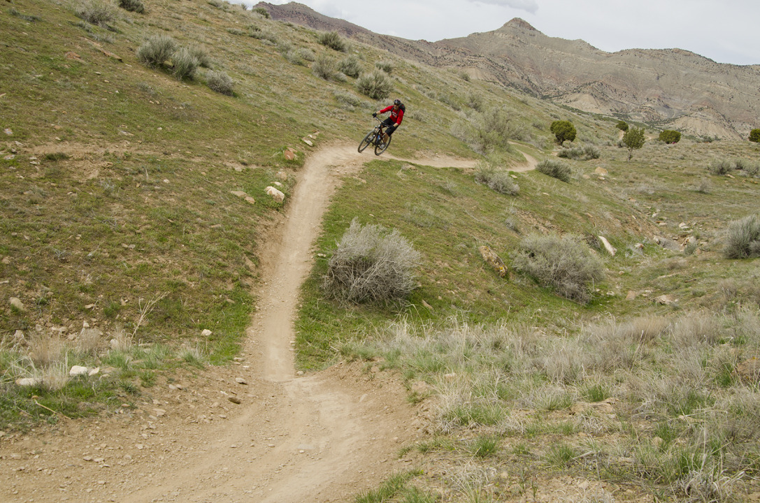 cyc_utahfruita230.jpg