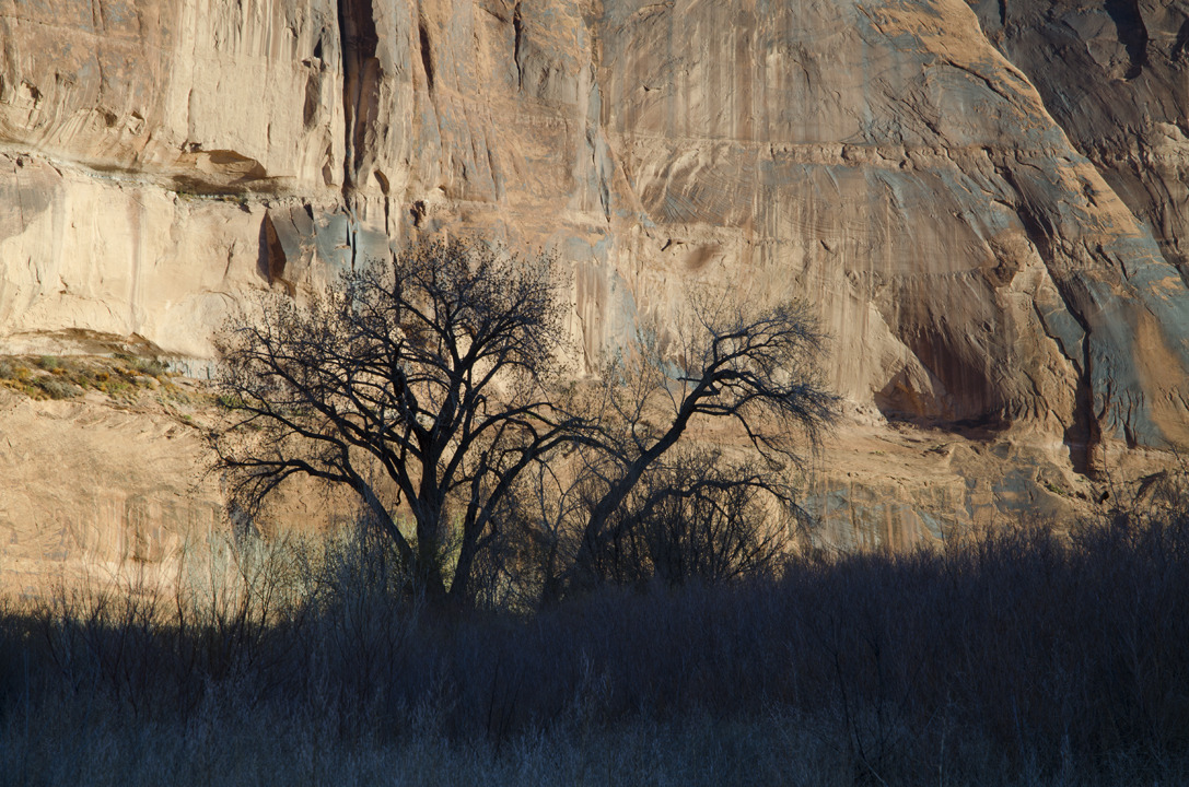 cyc_utahfruita011.jpg