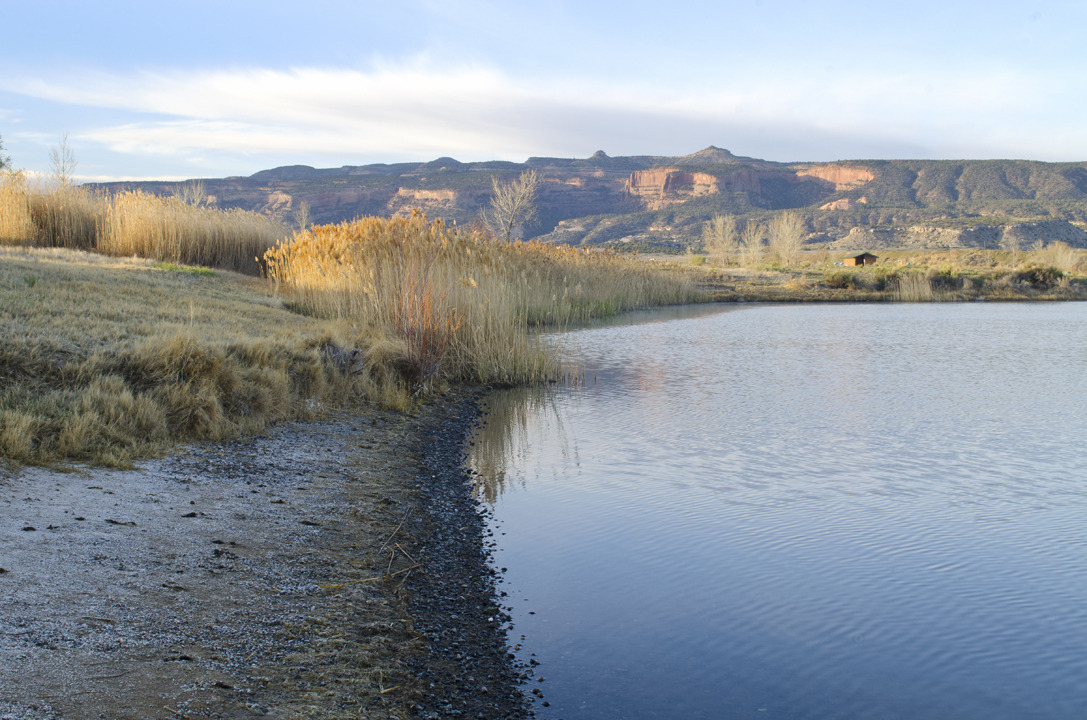 cyc_utahfruita171.jpg