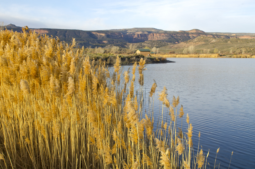 cyc_utahfruita173.jpg
