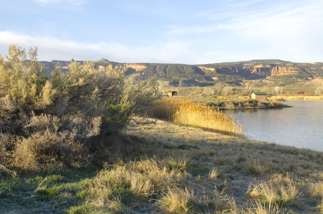 cyc_utahfruita174.jpg