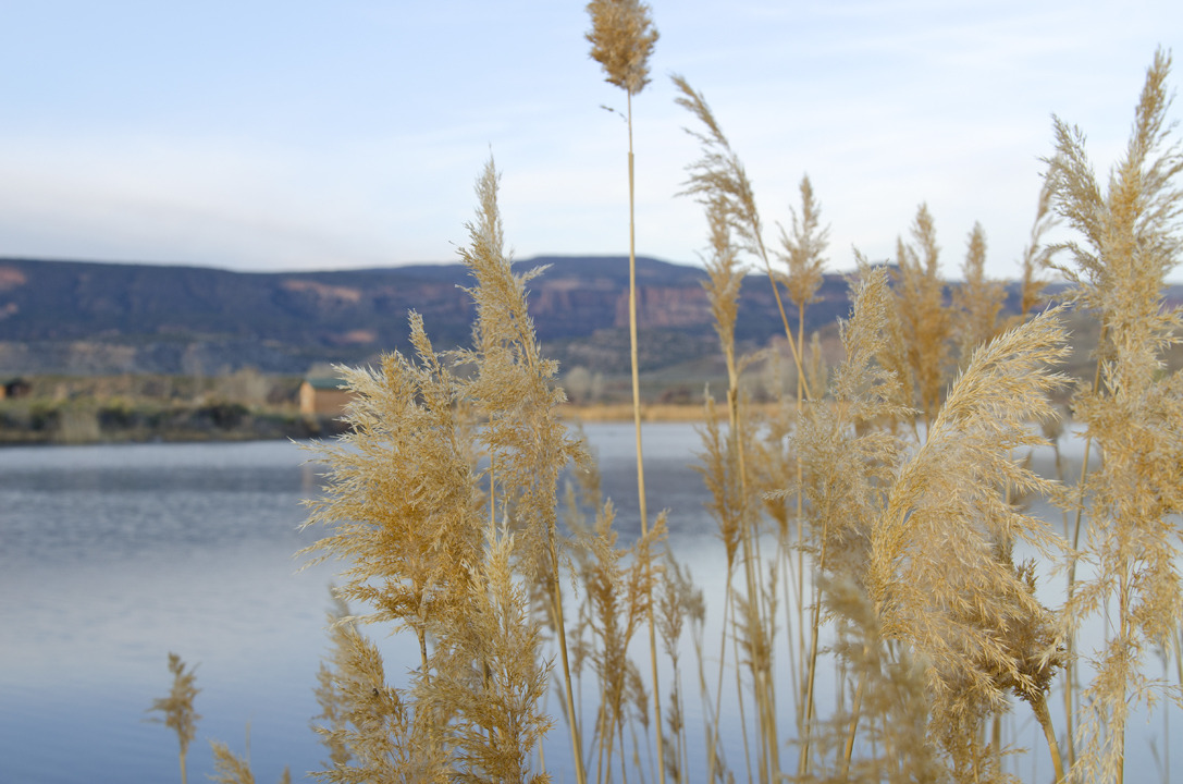 cyc_utahfruita170.jpg