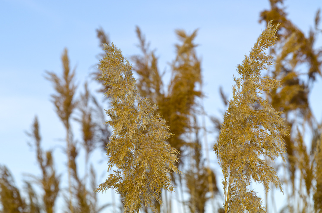 cyc_utahfruita169.jpg