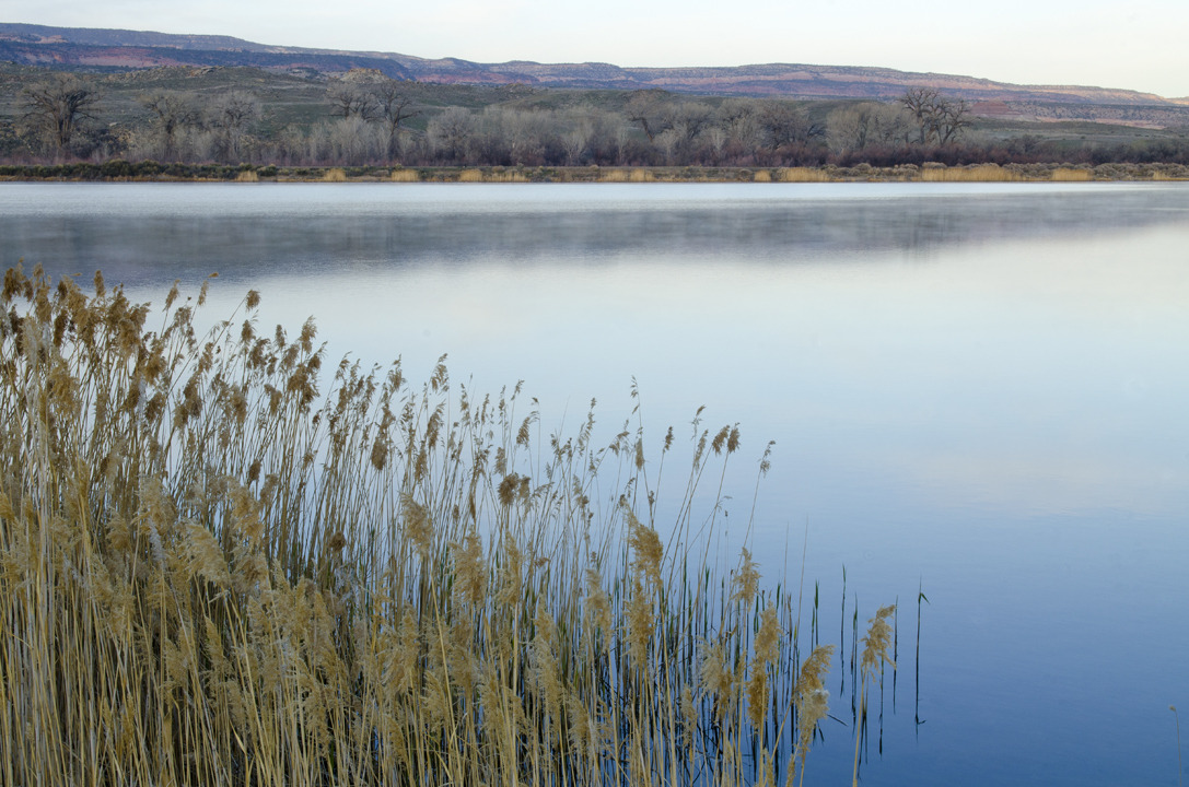 cyc_utahfruita166.jpg