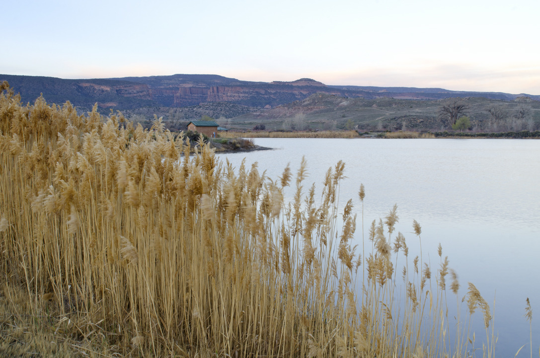 cyc_utahfruita162.jpg
