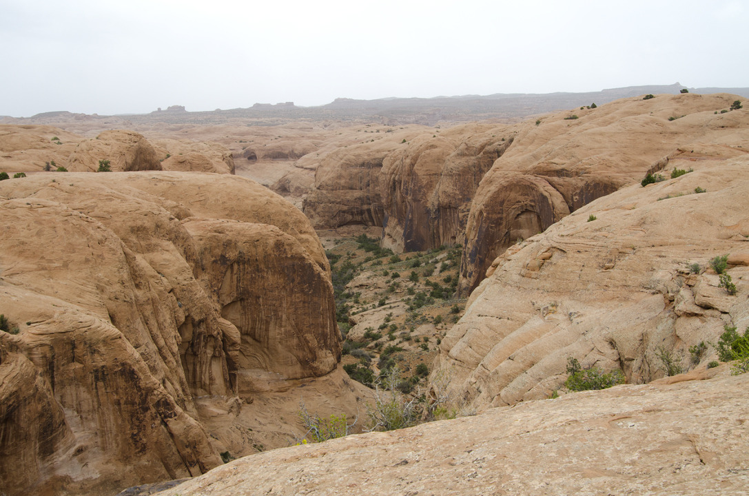 cyc_utahfruita087.jpg