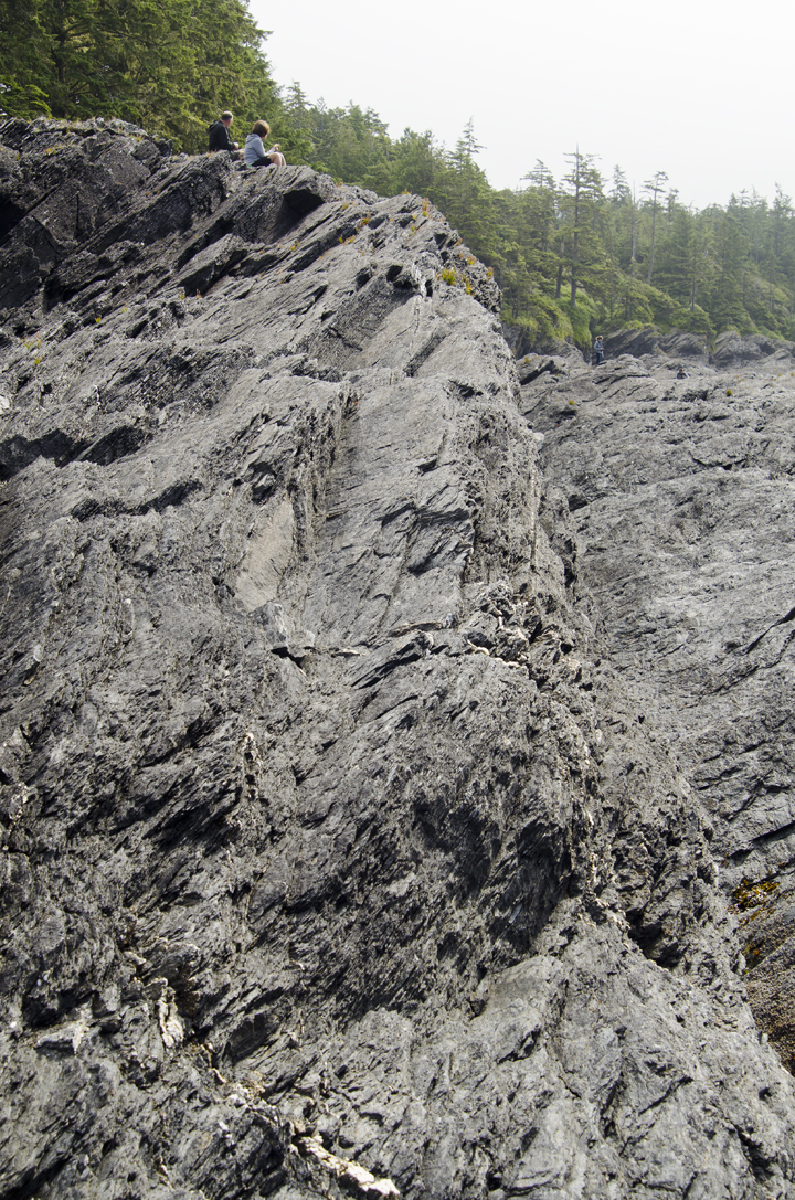 cyc_0216.jpg