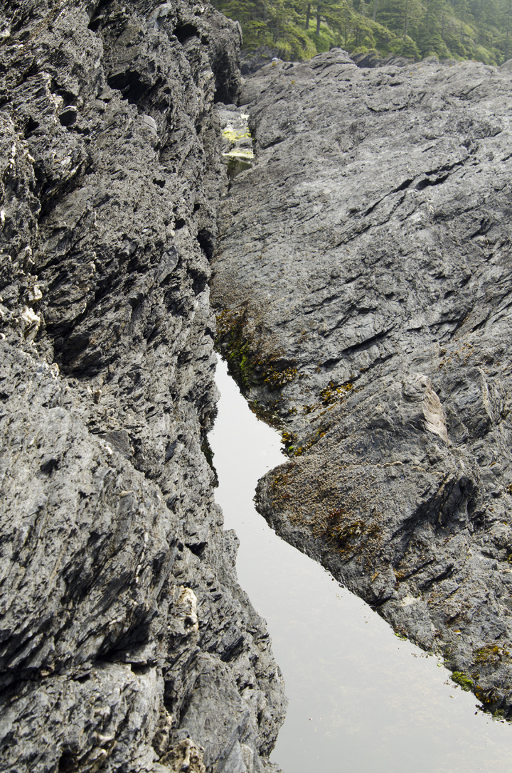cyc_0219.jpg