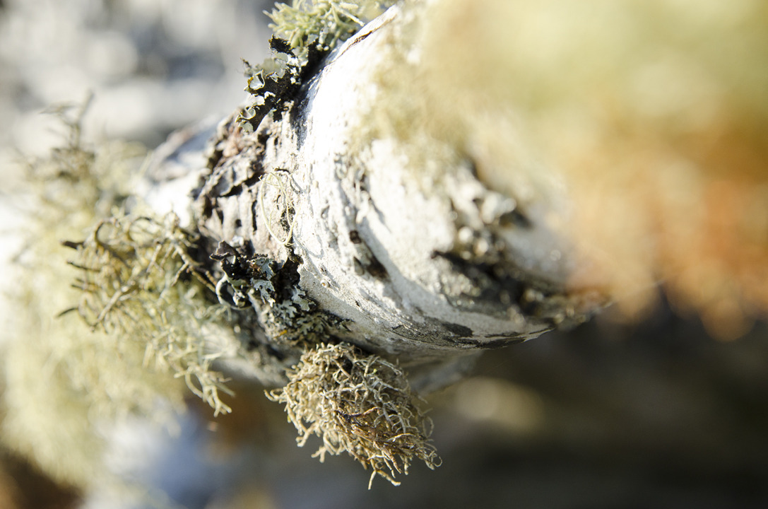 cyc_0052.jpg