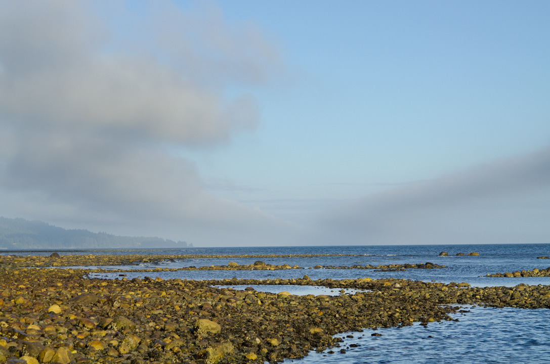 cyc_0087.jpg