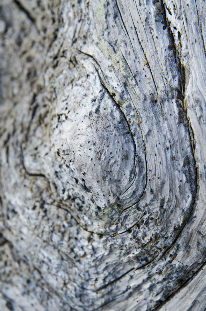 cyc_0074.jpg