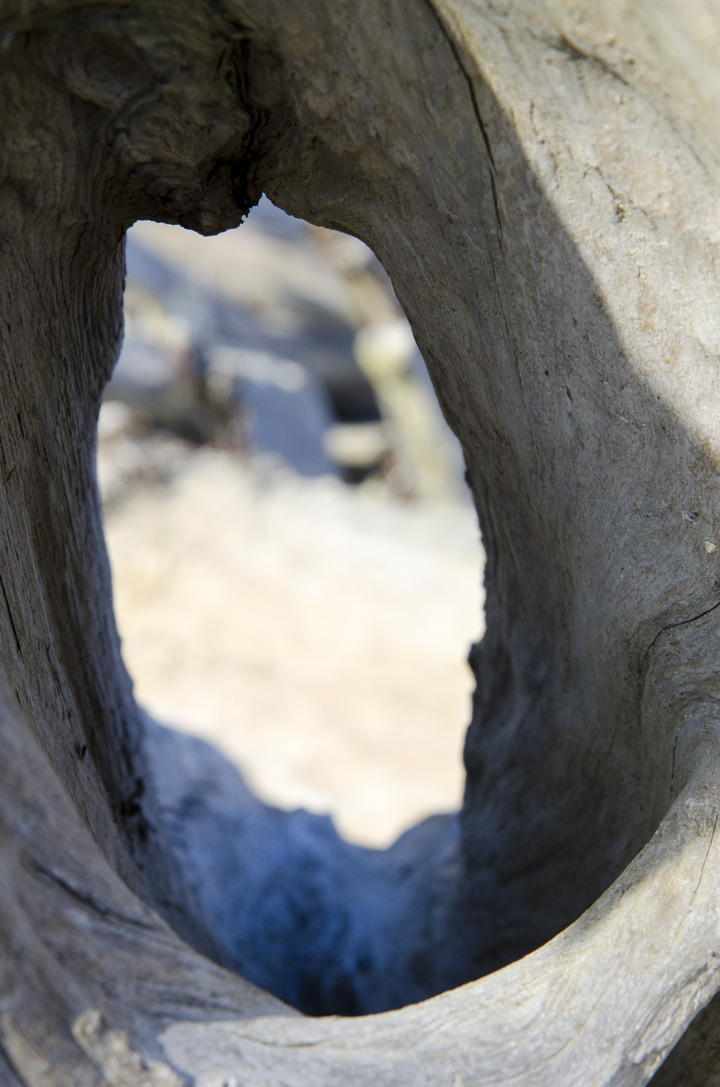 cyc_0070.jpg